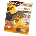 AFK Journey - Top Up Login Premium Gazette