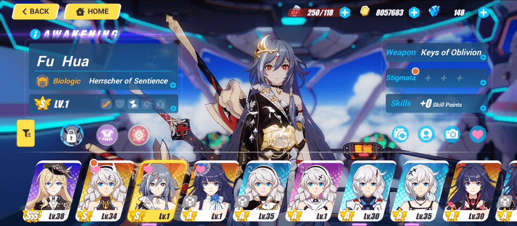 Product Showcase