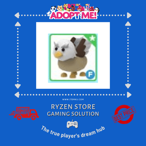 Product Showcase