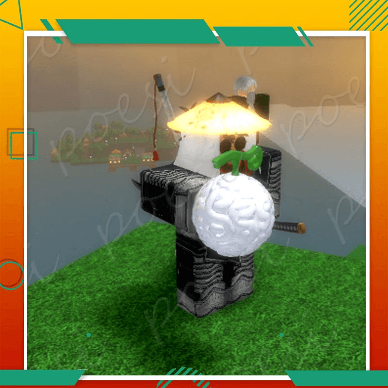 Product Showcase