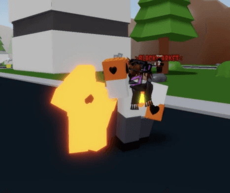 Product Showcase