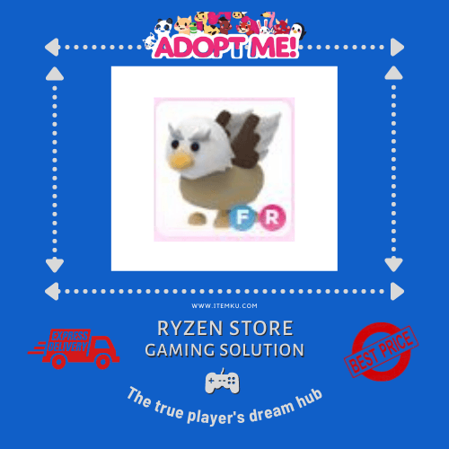 Product Showcase
