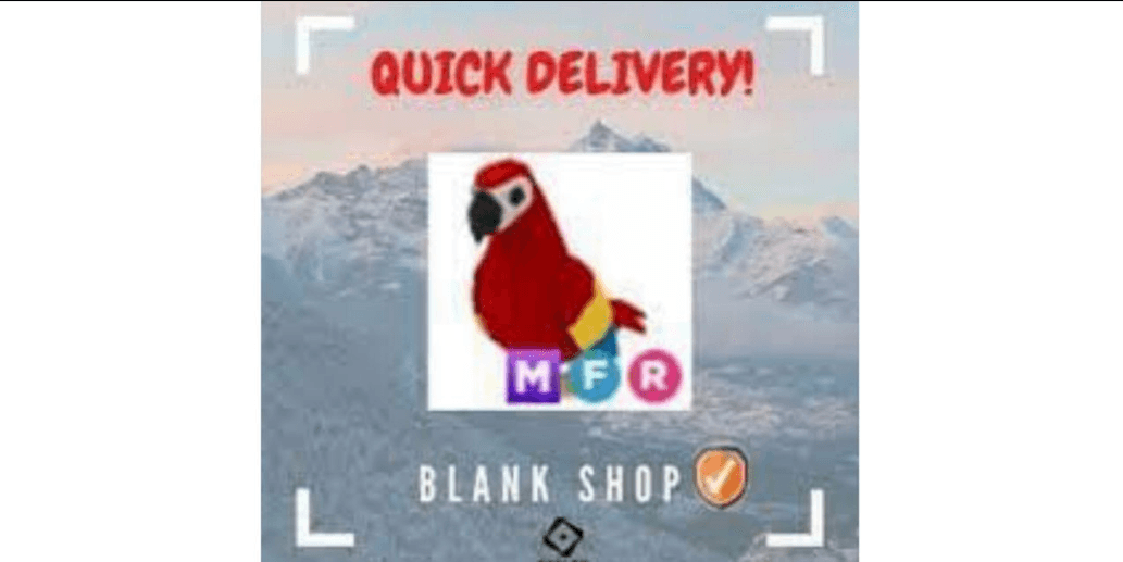 Product Showcase