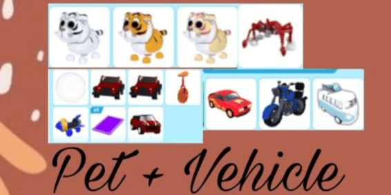 Product Showcase