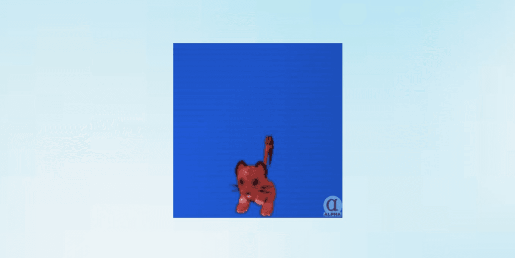 Product Showcase