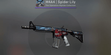 download the new version M4A4 Spider Lily cs go skin