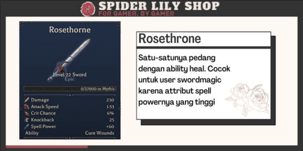 Product Showcase