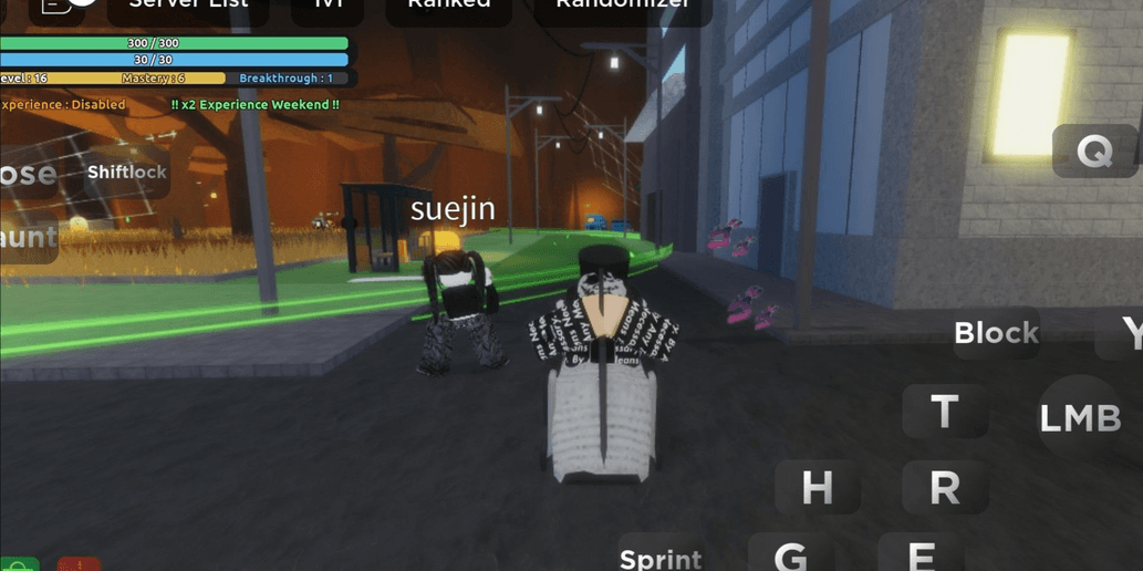 Product Showcase