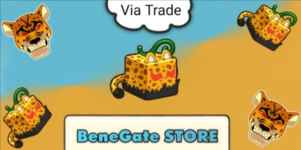 Product Showcase