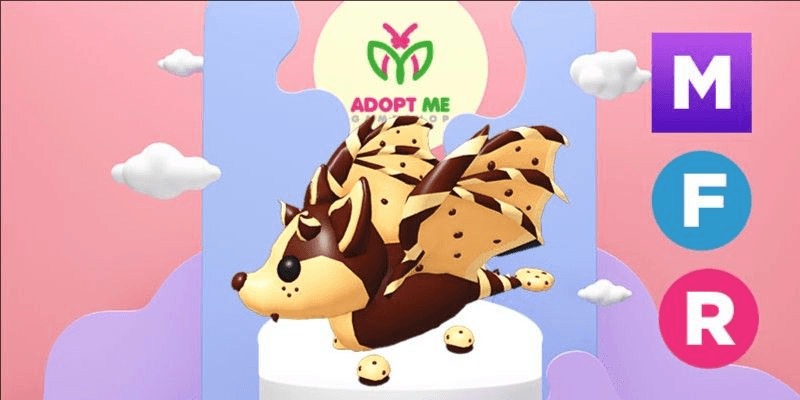 Product Showcase