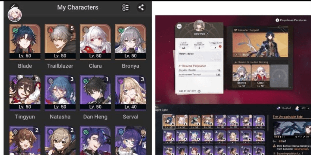 Product Showcase