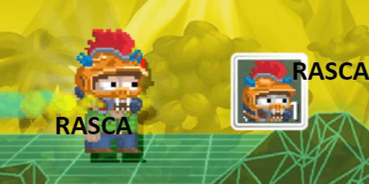Product Showcase