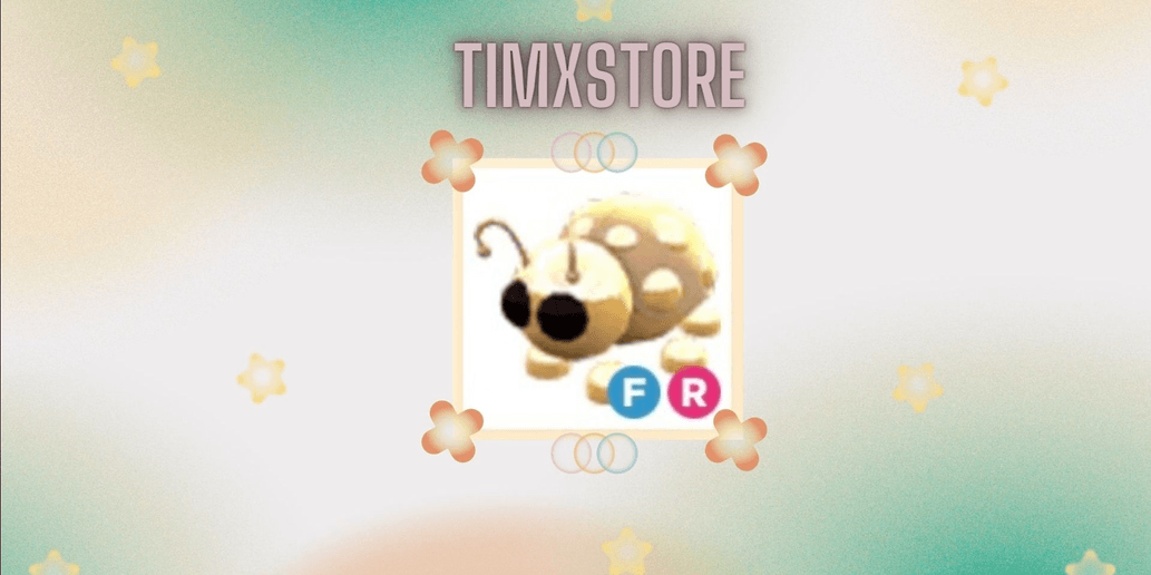 Product Showcase