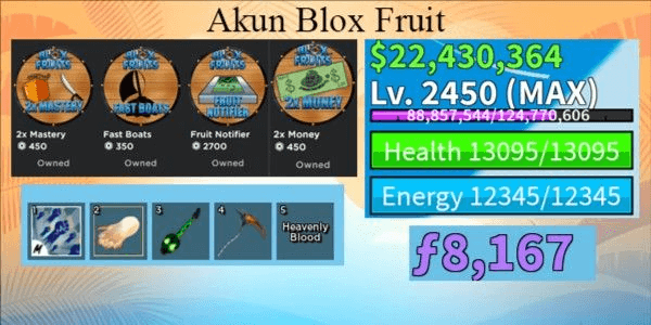Product Showcase