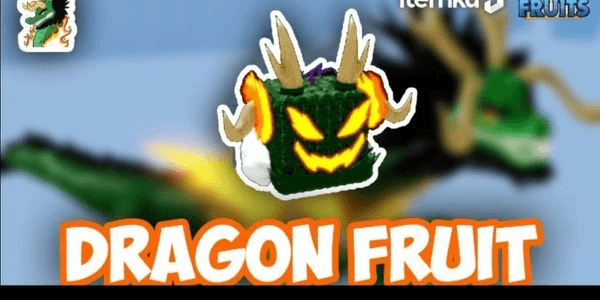 Gambar Product Dragon Fruit Heha Store