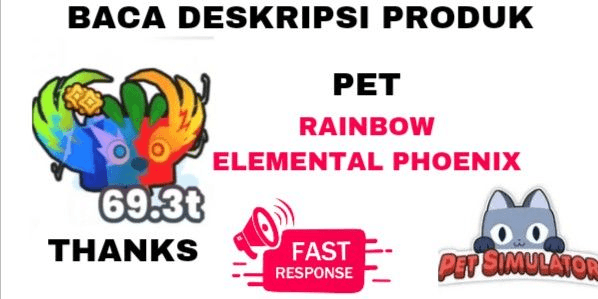 Product Showcase