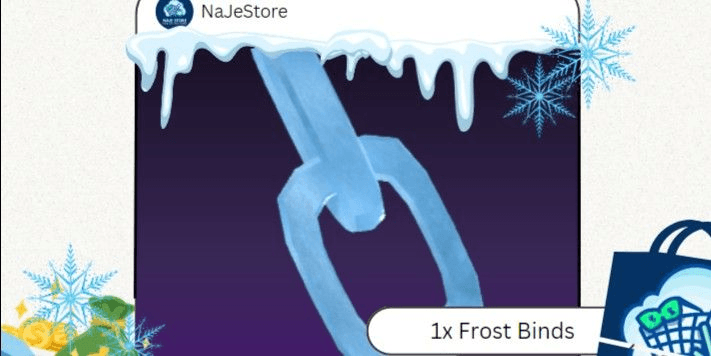 Product Showcase