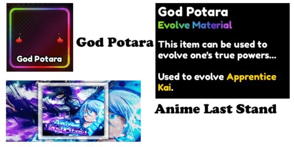 Product Showcase