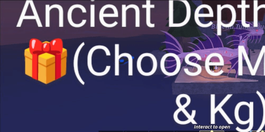 Product Showcase