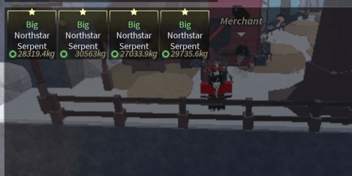 Product Showcase