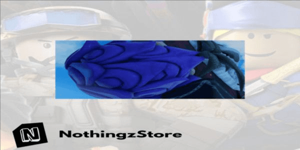 Product Showcase