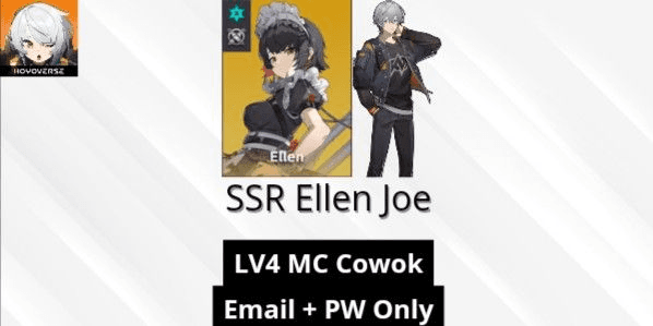 Product Showcase