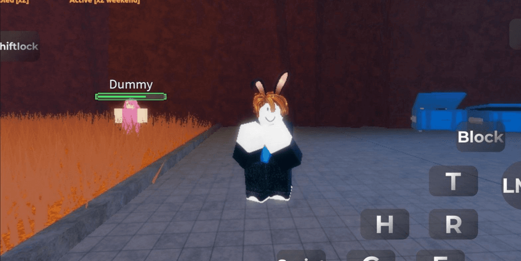 Product Showcase