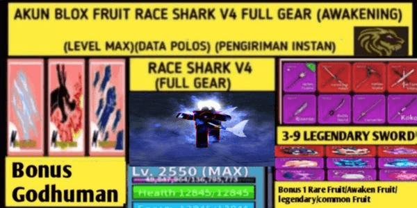 Gambar Product Blox Fruit Race Shark V4 T10 Full Gear (Awakening)(Levelmax) Account
