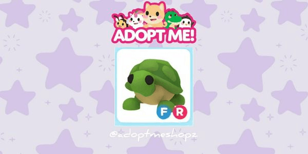 Gambar Product Turtle