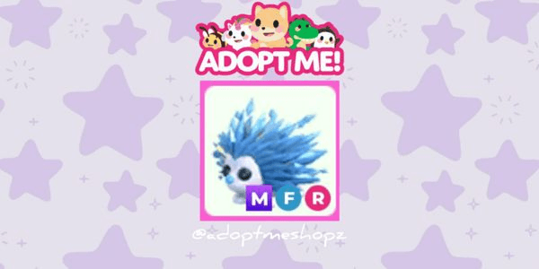 Gambar Product Icy Porcupine