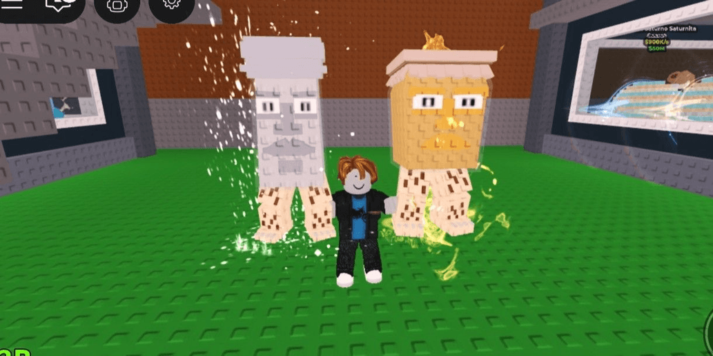 Product Showcase