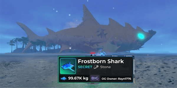 Product Showcase