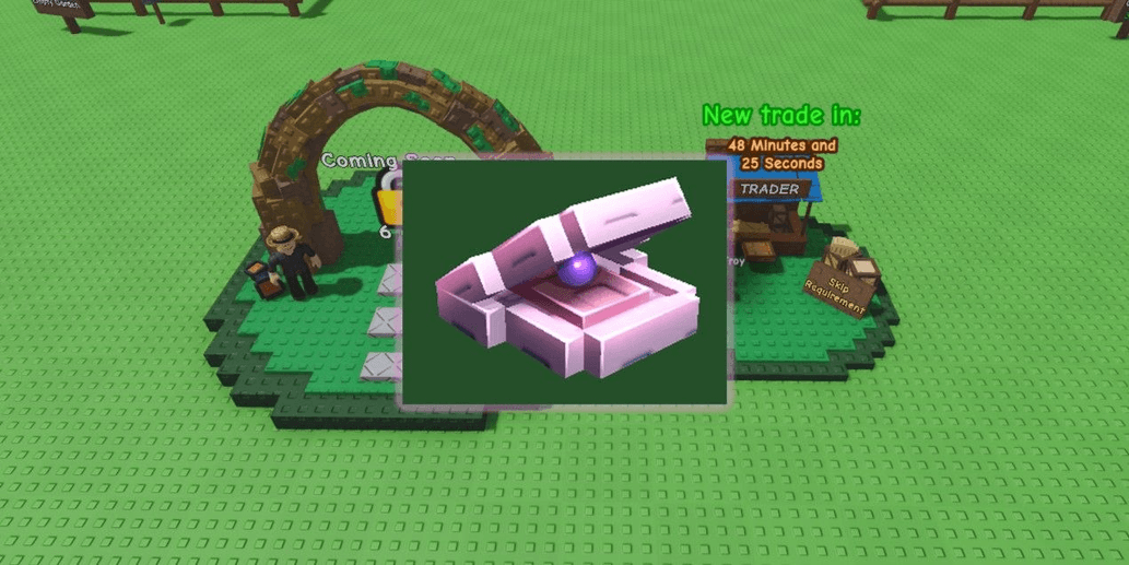 Product Showcase