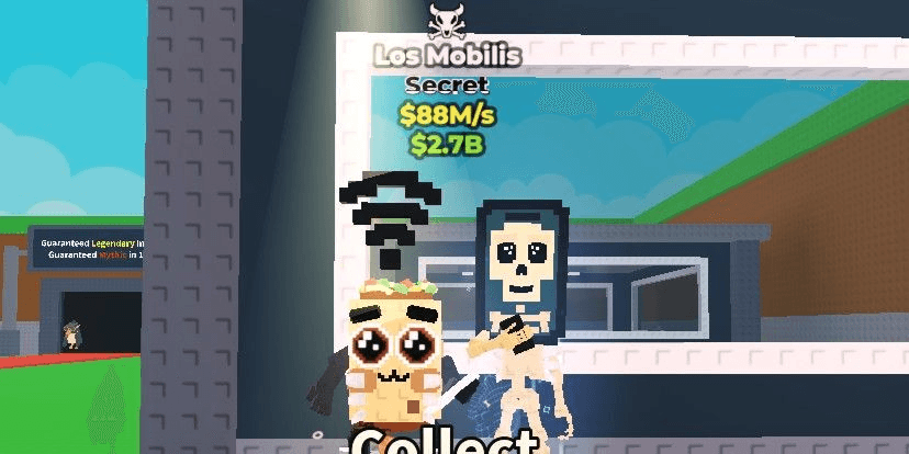 Product Showcase
