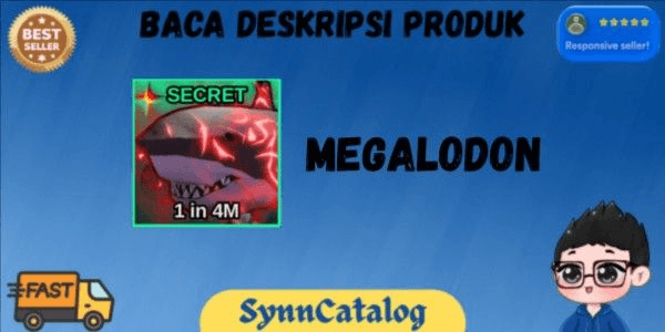 Product Showcase