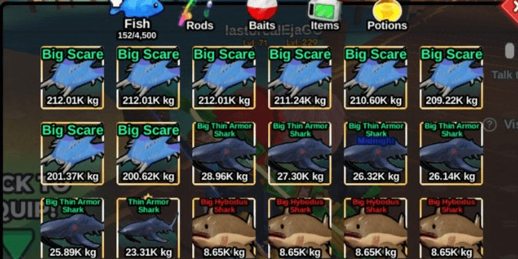 Product Showcase