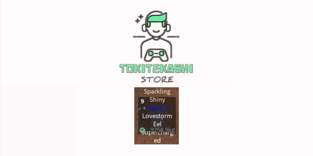 Product Showcase