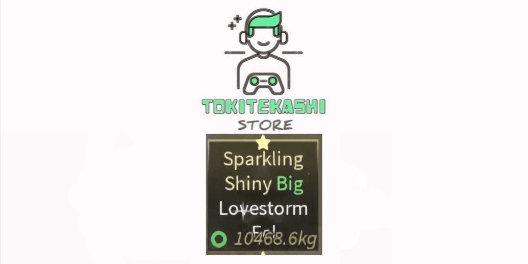Product Showcase