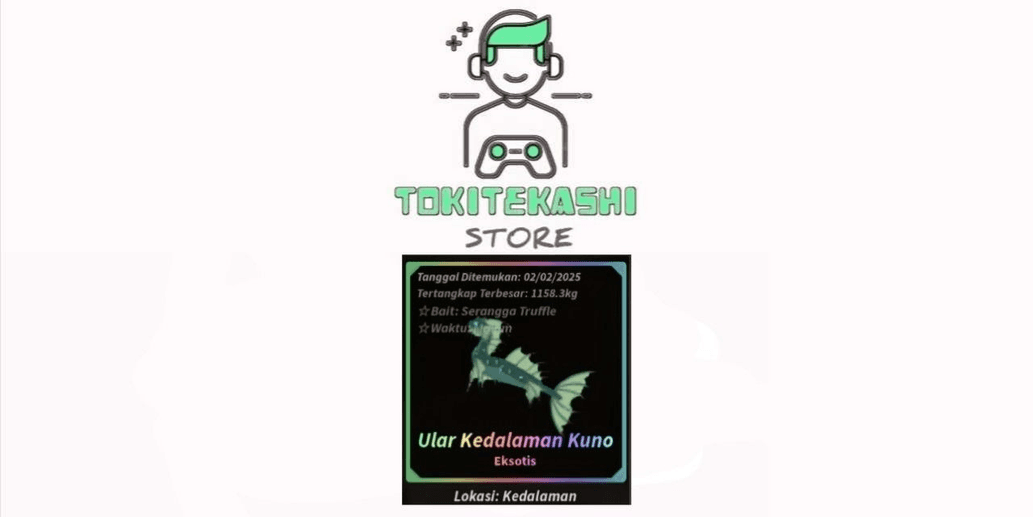 Product Showcase
