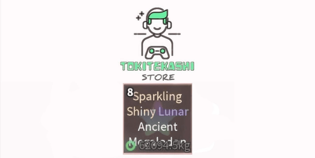 Product Showcase