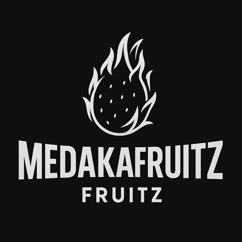 avatar MedakaFruitZ