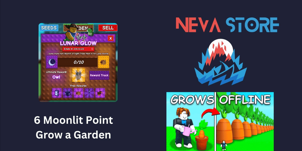 Product Showcase