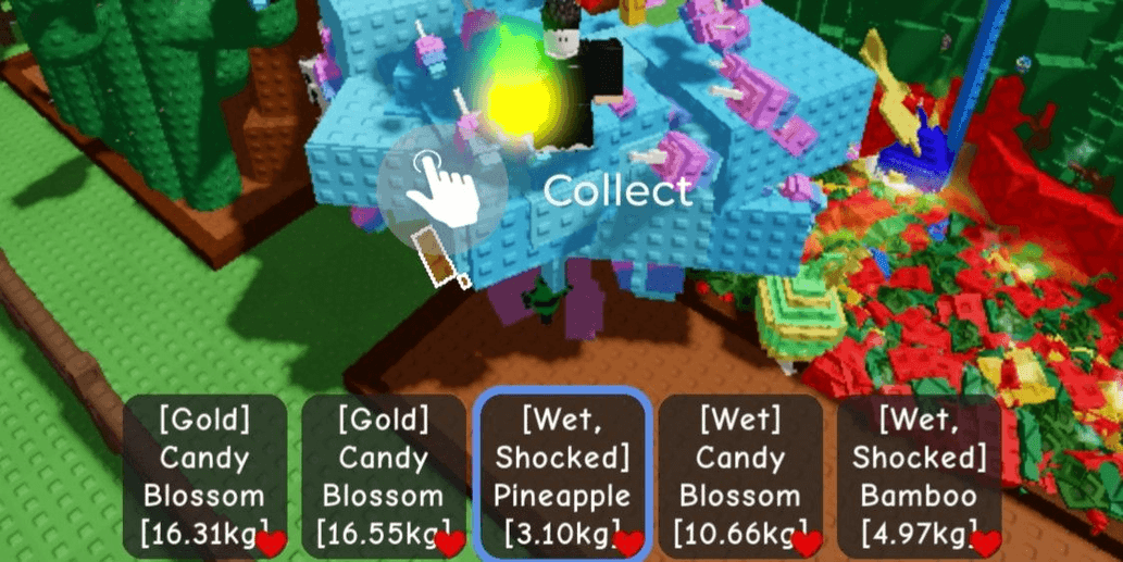 Product Showcase