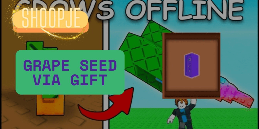 Product Showcase