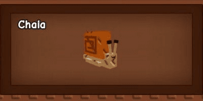 Product Showcase