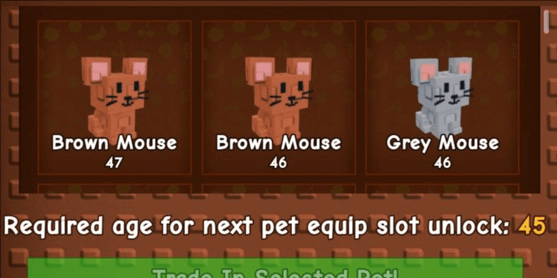 Product Showcase