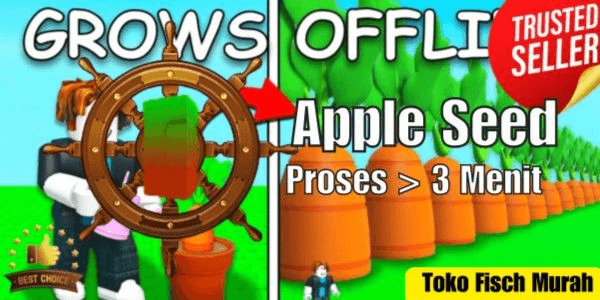 Product Showcase