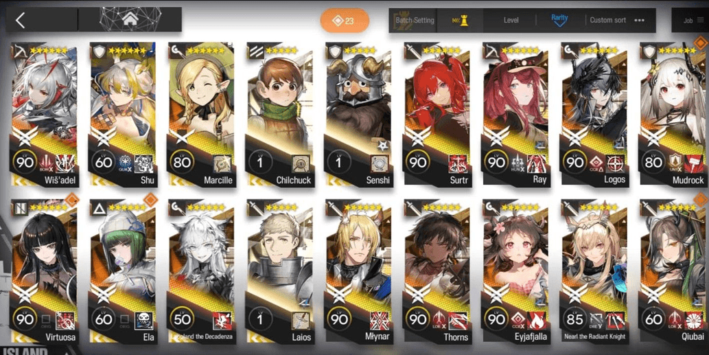 Product Showcase