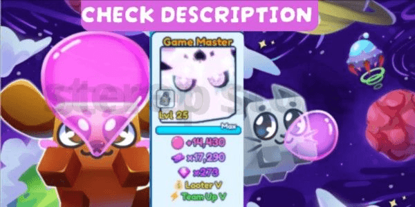 Product Showcase