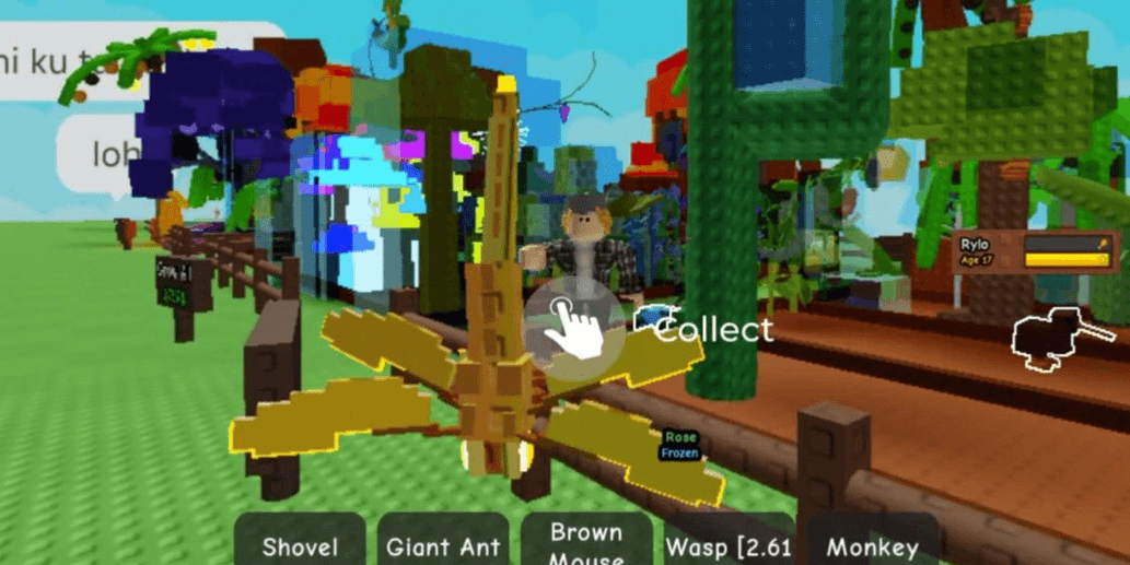 Product Showcase